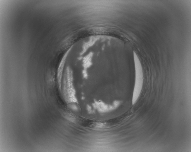 X0000063500507200602101903