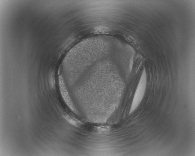 X0000063500508200602101903