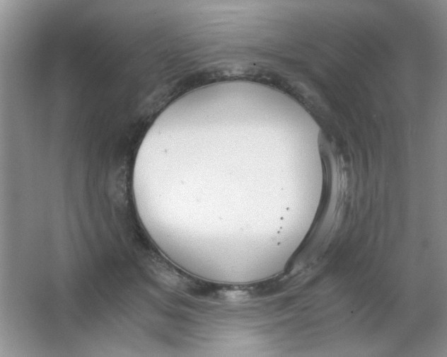 X0000063500509200602101903