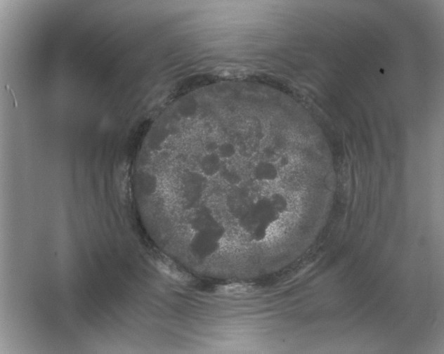 X0000063500511200602101903