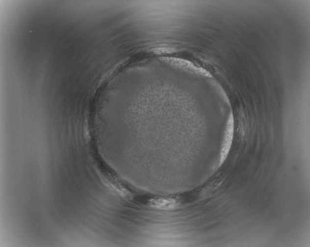 X0000063500512200602101903