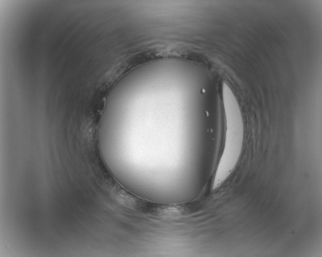 X0000063500513200602101903