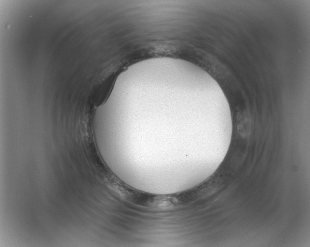 X0000063500514200602101902