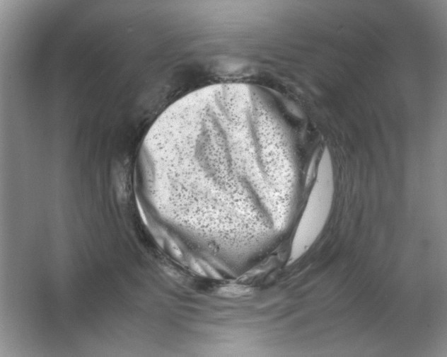 X0000063500515200602101902