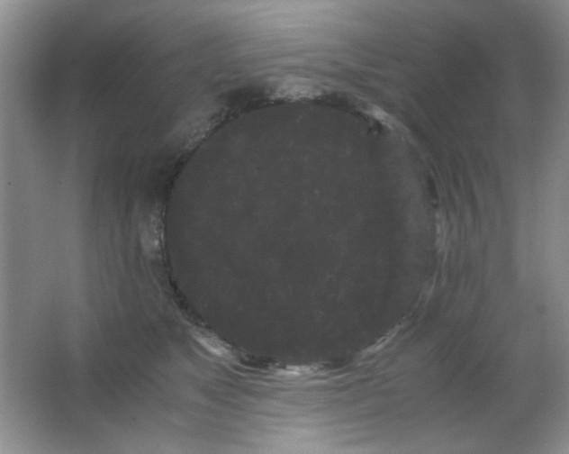 X0000063500517200602101902