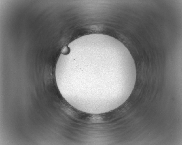 X0000063500518200602101902