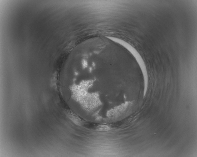 X0000063500519200602101902