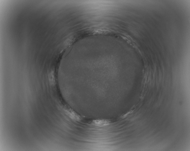 X0000063500520200602101902