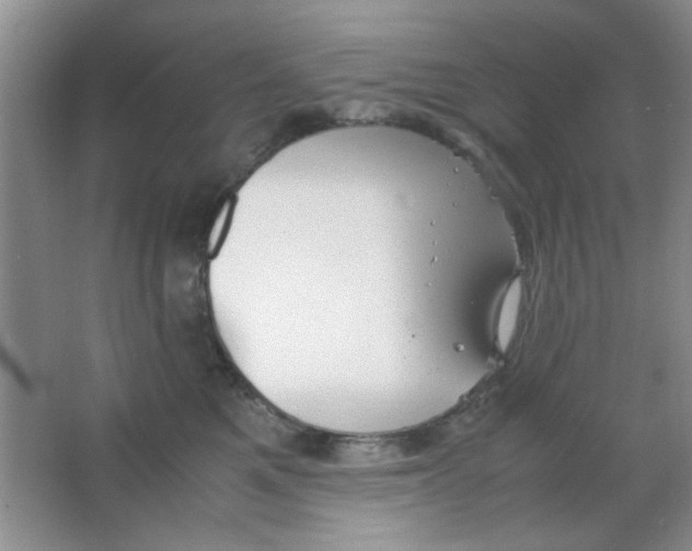 X0000063500521200602101902