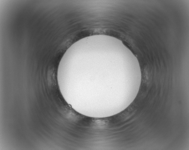 X0000063500522200602101902