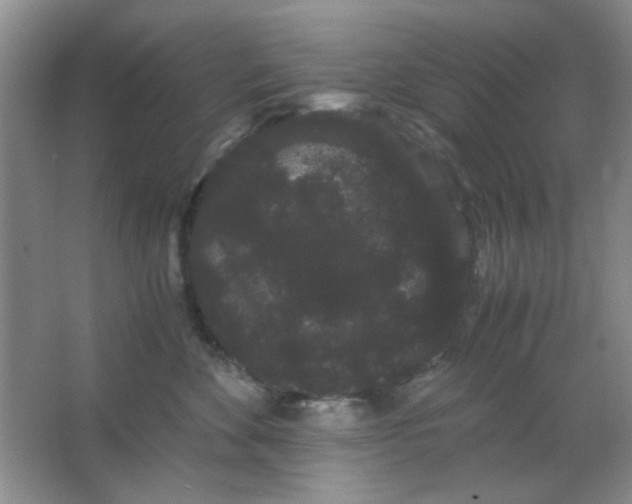 X0000063500524200602101902