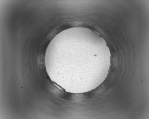 X0000063500525200602101902