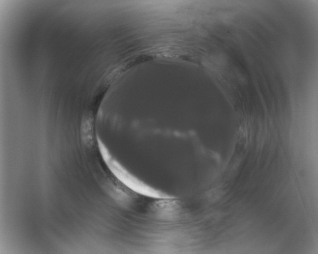 X0000063500526200602101902