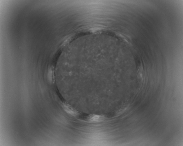 X0000063500527200602101902