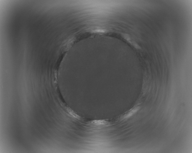 X0000063500528200602101902