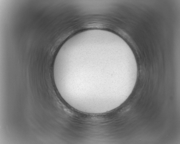 X0000063500529200602101901