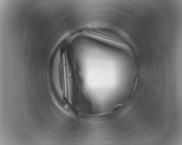 X0000063500530200602101901