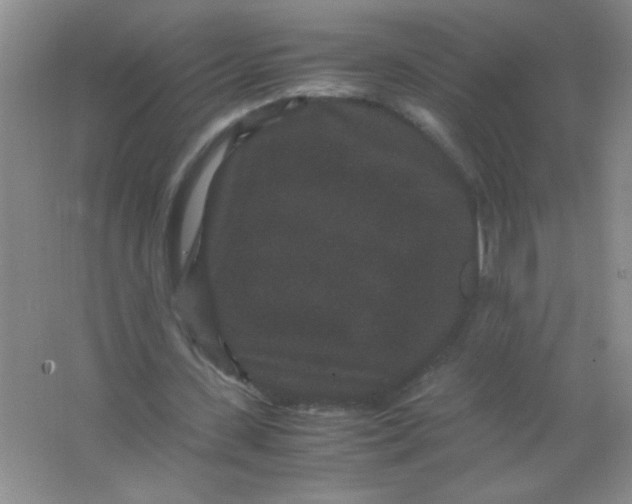 X0000063500531200602101901