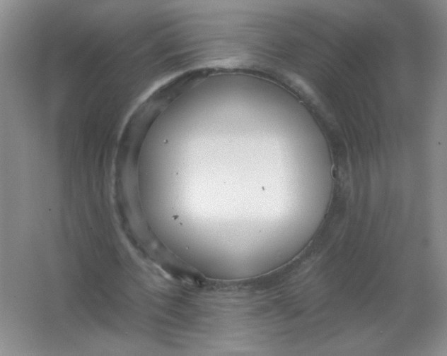 X0000063500532200602101901