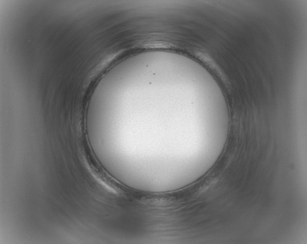 X0000063500533200602101901