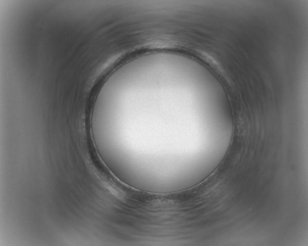 X0000063500535200602101902