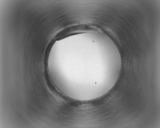 X0000063500536200602101902