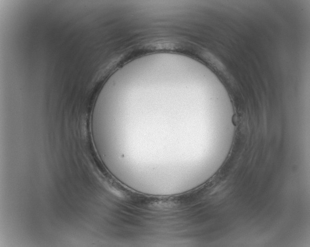 X0000063500537200602101902