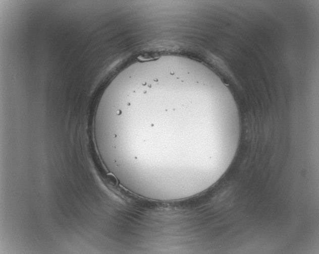 X0000063500538200602101902