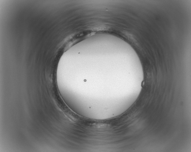 X0000063500539200602101902