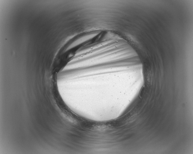 X0000063500540200602101902