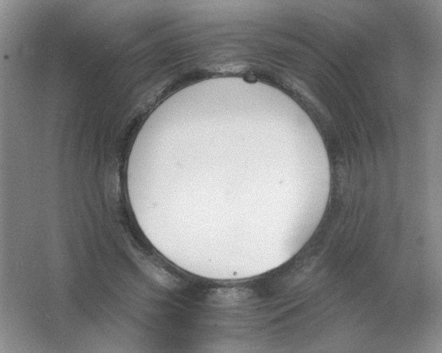 X0000063500541200602101902