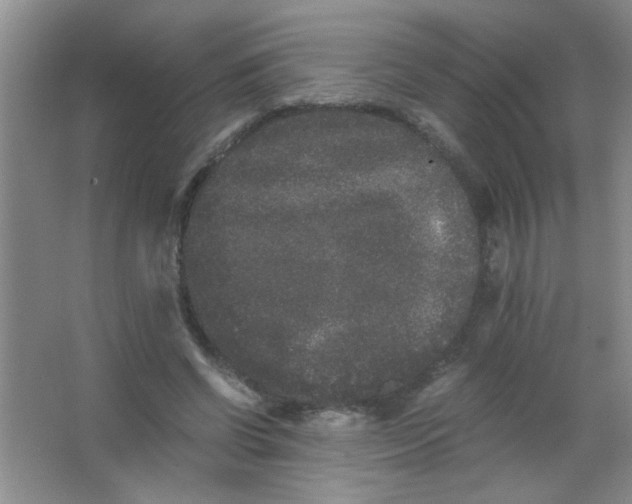 X0000063500542200602101902