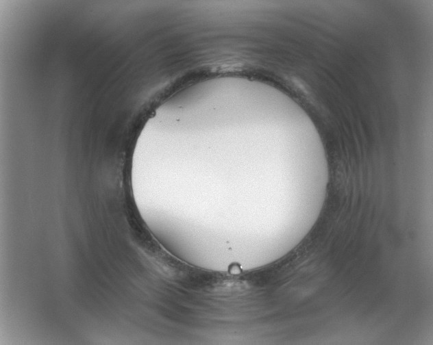 X0000063500543200602101902