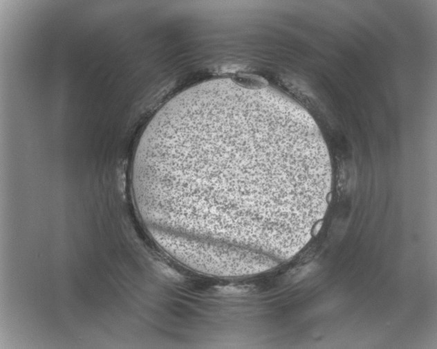 X0000063500545200602101902