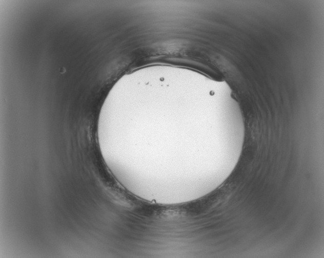 X0000063500546200602101902