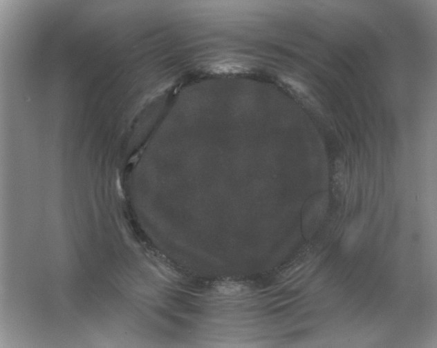 X0000063500547200602101902