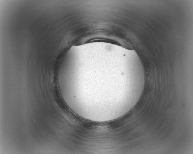 X0000063500548200602101902