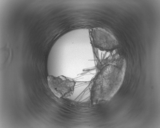 X0000063500549200602101902