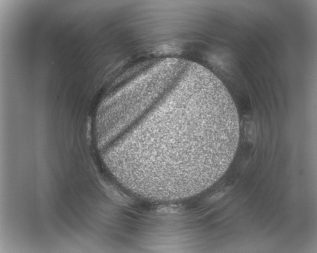 X0000063500550200602101902