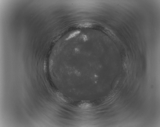 X0000063500551200602101902