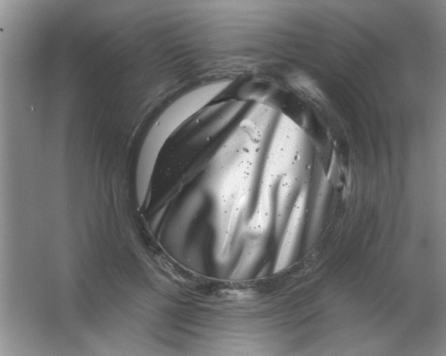 X0000063500552200602101902