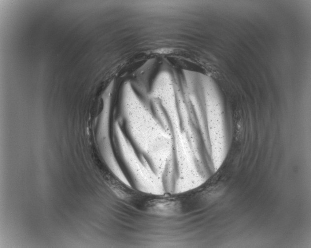 X0000063500555200602101902