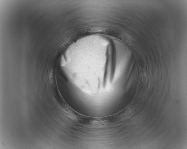 X0000063500556200602101902