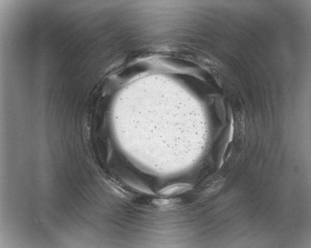 X0000063500558200602101902