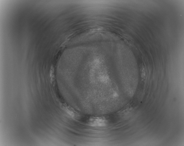 X0000063500559200602101902