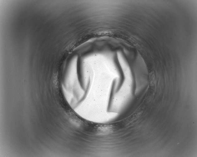 X0000063500560200602101902