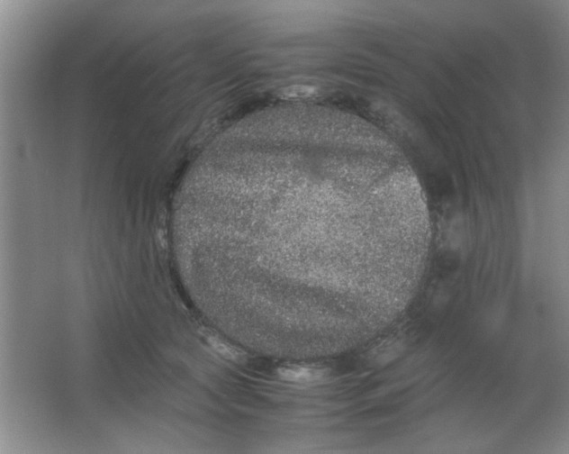 X0000063500561200602101902