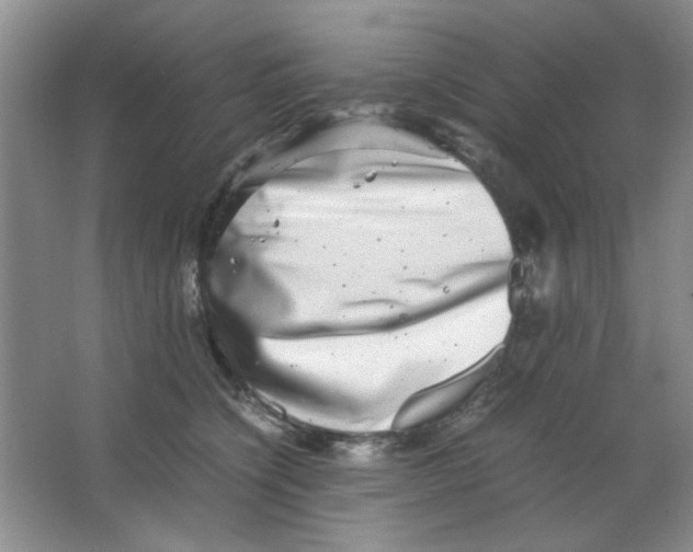 X0000063500564200602101902