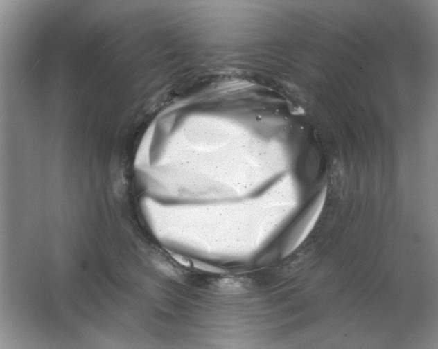 X0000063500566200602101902