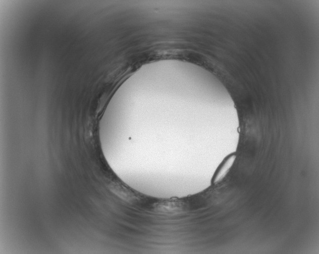 X0000063500567200602101902